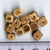 Kokosnuss Dunkelbraun
