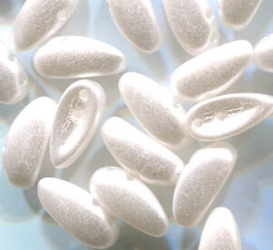 PRECIOSA Chilli Beads ALABASTER PASTEL WHITE 03000/25001