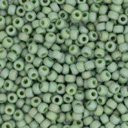 11/0 Roc. Opaque Glazed Frosted Rainbow Pistachio 4698