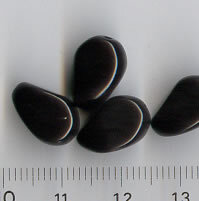Glasperlen Opak Schwarz
