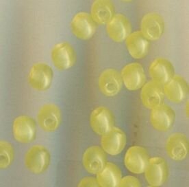 3mm Glasperlen Opalgelb