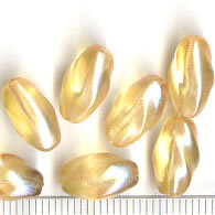 Glaswachsperlen Lachs Lüsternd