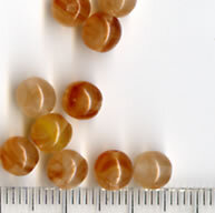 6mm Glasperlen Rose-Topaz meliert