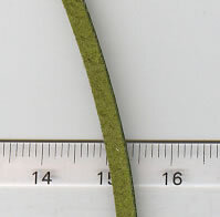 Suede Lace Grün