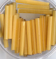 20 mm Stifte Beige
