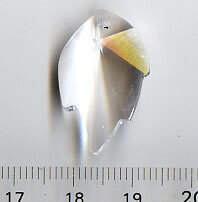 Swarovski Crystal Blatt